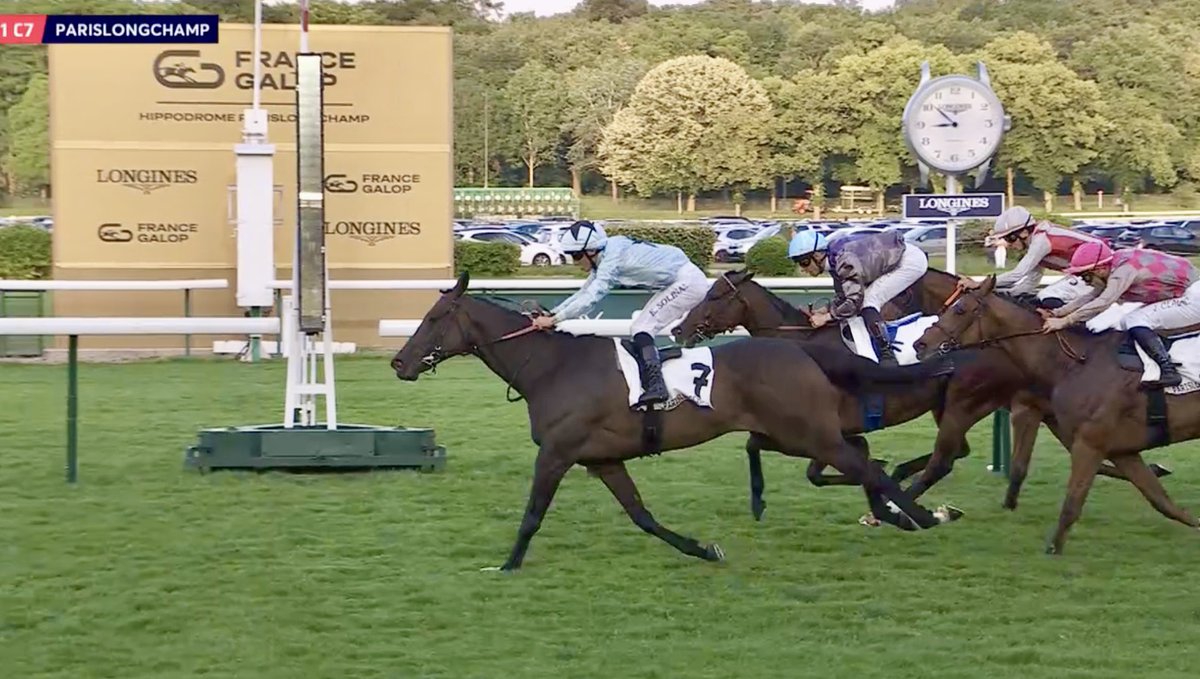 flutter61's tweet photo. Always follow my horses after they’ve moved on and delighted to see the ex @NBradleyRacing @JohnnyMurtagh Signora Bellissima winning the Claimer at @paris_longchamp for current connections. Saw her being nibbled at 22/1 back over her ideal trip, wins at a well backed 14/1 😊🐎🇫🇷 https://t.co/eFWTlgs2Wd