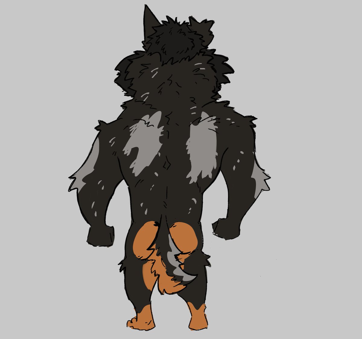 Kerim_Will's tweet photo. This is my new big boy! hes a "Beauceron"
More drawings of him comming soon, i hope you like him! https://t.co/oVC5I1CvFN