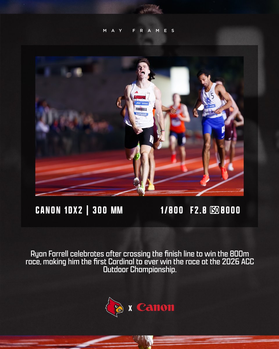 GoCards's tweet photo. A closer look 📸

May frames #ShotWithCanon

#GoCards x @CanonUSA https://t.co/DfYbZp40rG