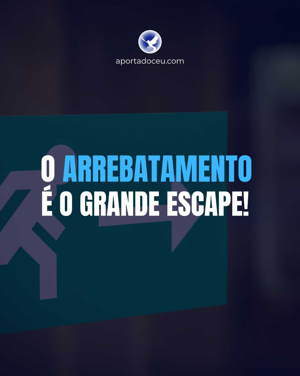Fátima 🇧🇷 tweet media