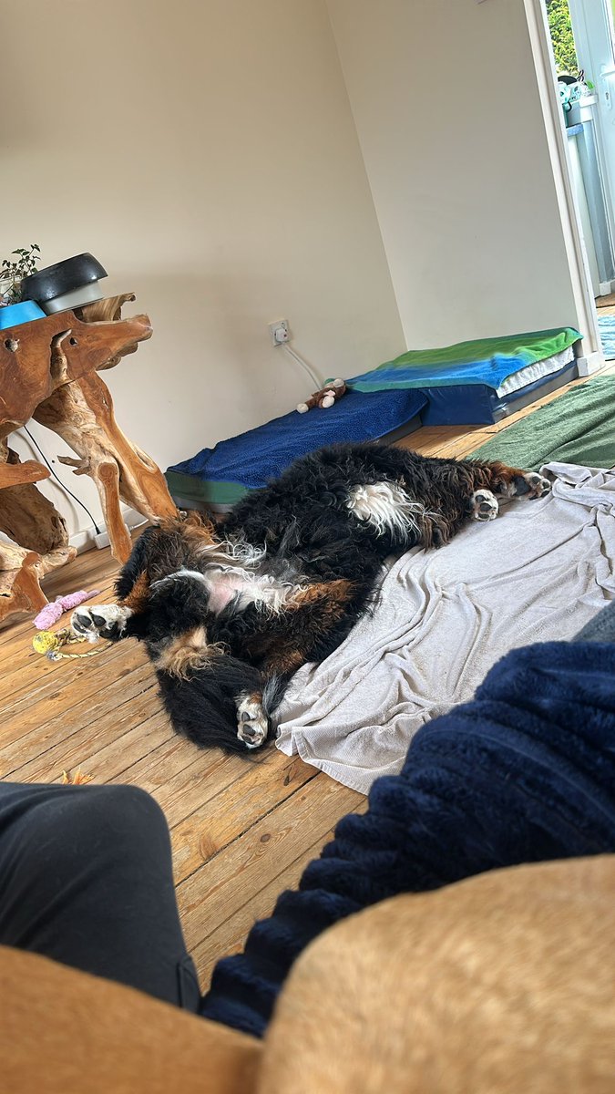mack_world's tweet photo. I'm tired from running around 🥰 https://t.co/w7cJF4GW1q