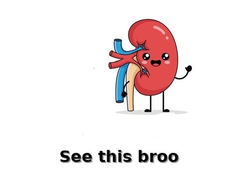 Eng. Brain tweet media