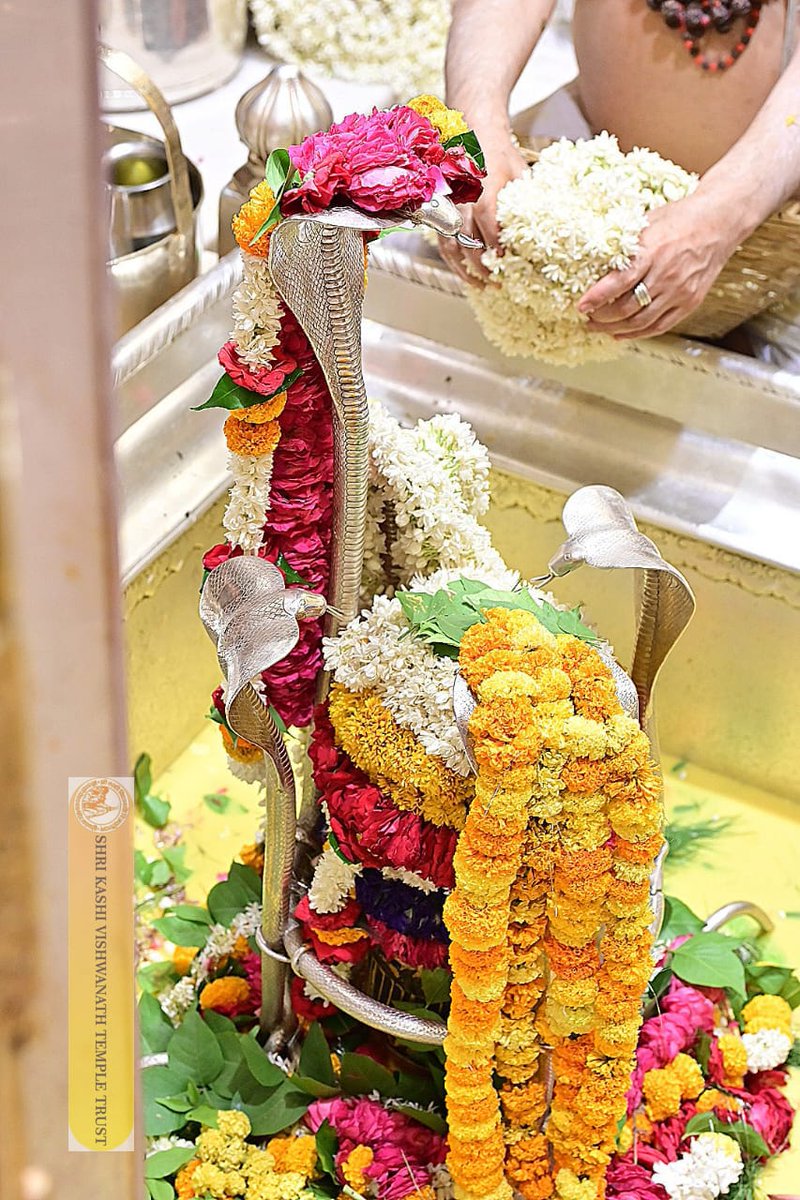 ShriVishwanath's tweet photo. श्री काशी विश्वनाथ जी की सप्तऋषि आरती I
#kashivishwanath #kashi #hindu #sanatandharm https://t.co/5FsbdfEwTy