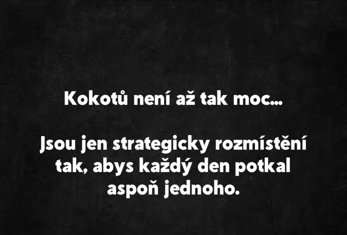 Ýbrcek 🚨🐻🚒💦🍇 tweet media