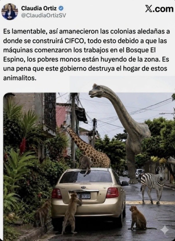 Chelita 🇸🇻 tweet media