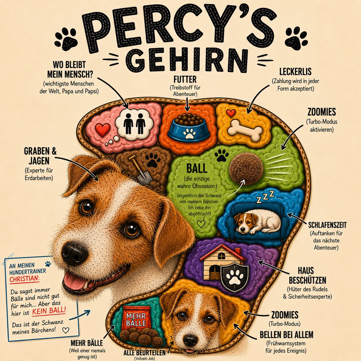 LePercyfication's tweet photo. also Leute, hört mal zu:

Das ist KEIN Ball. 😳
Das ist der Schwanz meines Bärchens.
Und mein Hundetrainer Christian kann da sagen, was er will. 😌🤎

Alles Liebe, euer Percy 🐾❤️

#LePercyfication #PercysGehirn #JackRussell #Zoomies https://t.co/3QSQz7NT7j