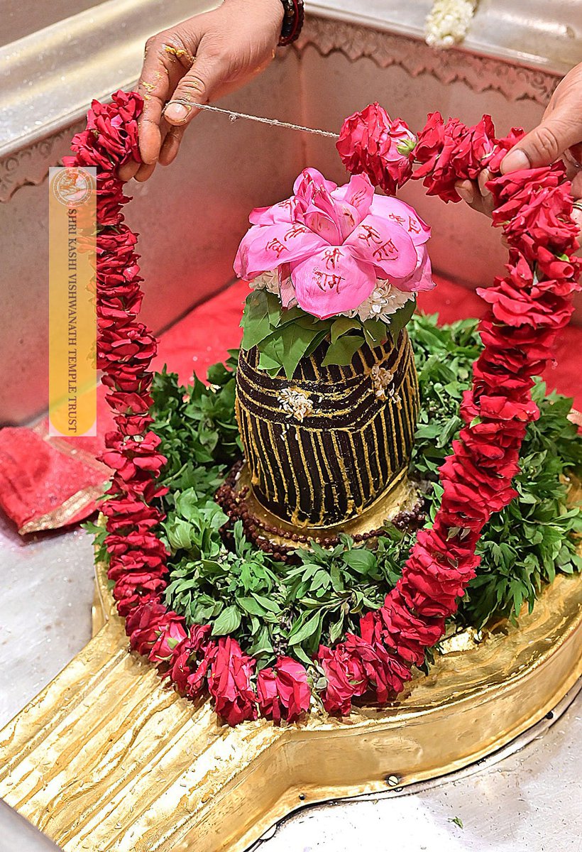 ShriVishwanath's tweet photo. श्री काशी विश्वनाथ जी की श्रृंगार आरती I
#kashivishwanath #kashi #hindu #sanatandharmaसनातन https://t.co/IEmS6qhVQs