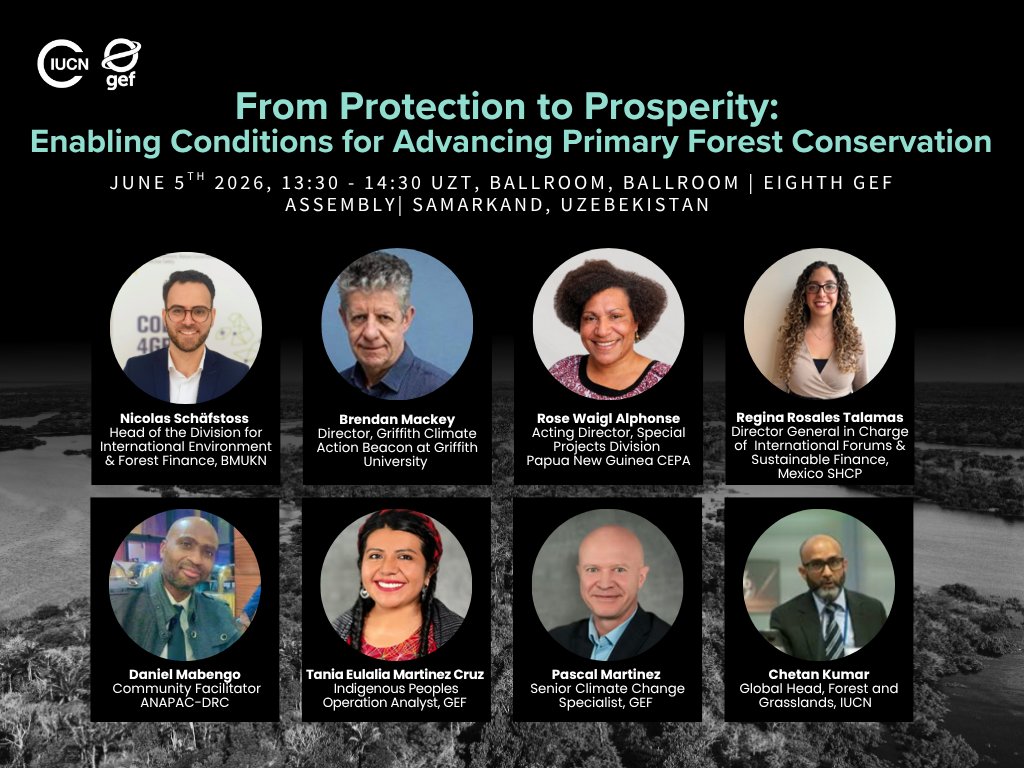 IUCN_forests's tweet photo. 🌐 Join the IUCN Forest and Grasslands Team on June 5th at the 8th GEF Assembly in Samarkand, Uzbekistan, for an event on primary forests. 

🌲 The event focuses on moving from ambition to implementation through country leadership, practical financing, and stronger recognition of Indigenous Peoples and local communities as central partners in forest stewardship. The event will also mark the launch of the Indigenous Peoples Ambassador Initiative, highlighting Indigenous leadership as essential to protecting primary forests and advancing action for nature, climate, and people. 

📅 Date: June 5th, 2026 
⏰ Time: 13:30 - 14:30 UZT 
📍 Location: Ballroom, Eighth GEF Assembly, Samarkand, Uzbekistan 

Speakers: 
🔹 Chetan Kumar, Global Head of the IUCN Forest and Grasslands, IUCN 
🔹Nicolas Schäfstoss, Head of the division for International Environment and Forest Finance, Federal Ministry for the Environment, Nature Conservation, Nuclear Safety and Consumer Protection 
🔹Brendan Mackey, Director, Griffith Climate Action Beacon at Griffith University, Queensland 
🔹Rose Waigl Alphonse, Acting Director, Special Projects Division, Papua New Guinea CEPA 
🔹Regina Rosales Talamas, Director General in charge of International Forums and Sustainable Finance Mexico, Secretaría de Hacienda y Crédito Público 
🔹Daniel Mabengo, Community Facilitator, ANAPAC-RDC 
🔹Tania Eulalia Martinez-Cruz, Indigenous Peoples Operation Analyst, Global Environment Facility 
🔹Pascal Martinez, Climate Change Specialist, GEF