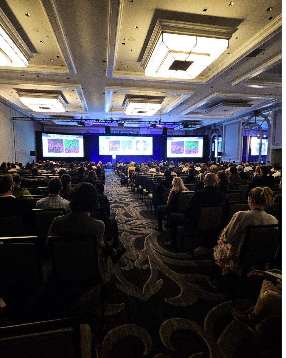 Pachyonychia's tweet photo. We were excited to listen to Erez Cohen, a post-doctoral fellow, give his presentation, “Keratin 16 spatially inhibits type 1 interferon responses in stressed and diseased skin” on the big stage at the Society for Investigative Dermatology Meeting. This ground-breaking work, done in Professor Pierre Coulombe’s lab, is leading to new avenues to explore for PC treatment options. Thanks to all who donate to PC Project so we can fund this cutting-edge research!

#EndThePain #RareDisease #PPKs #pEDDs #pachyonychia