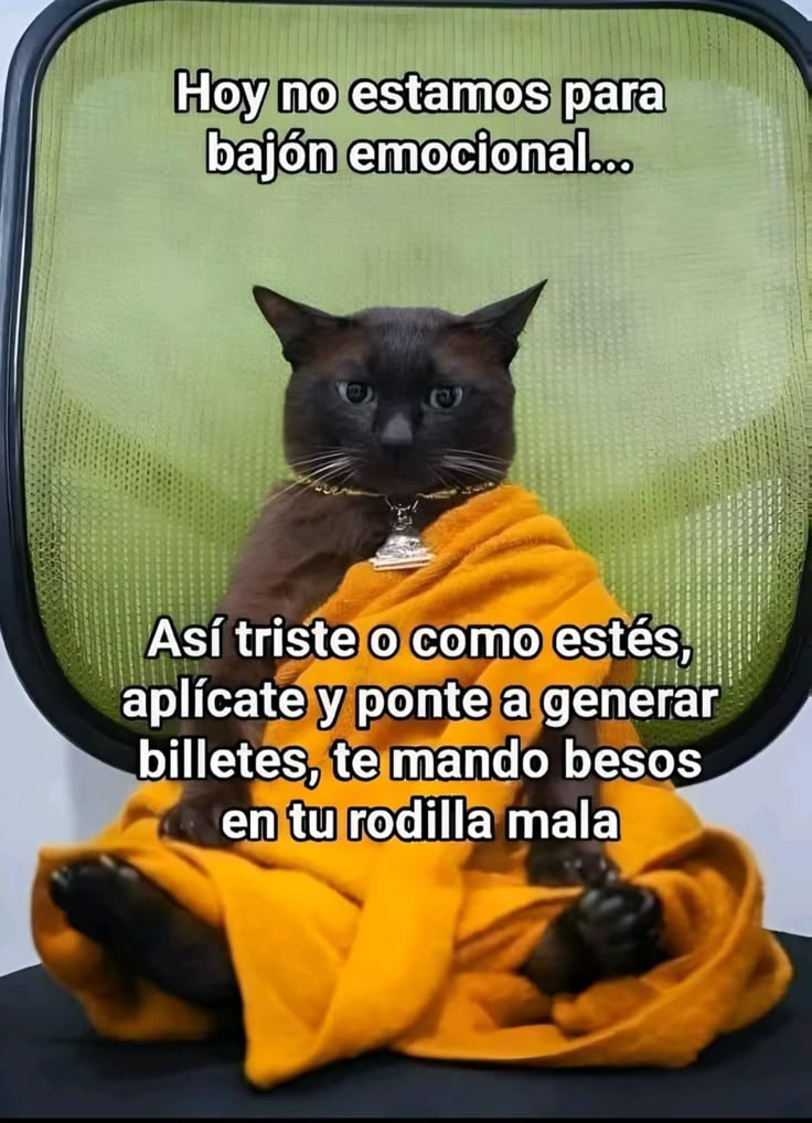 Rincón Curioso tweet media