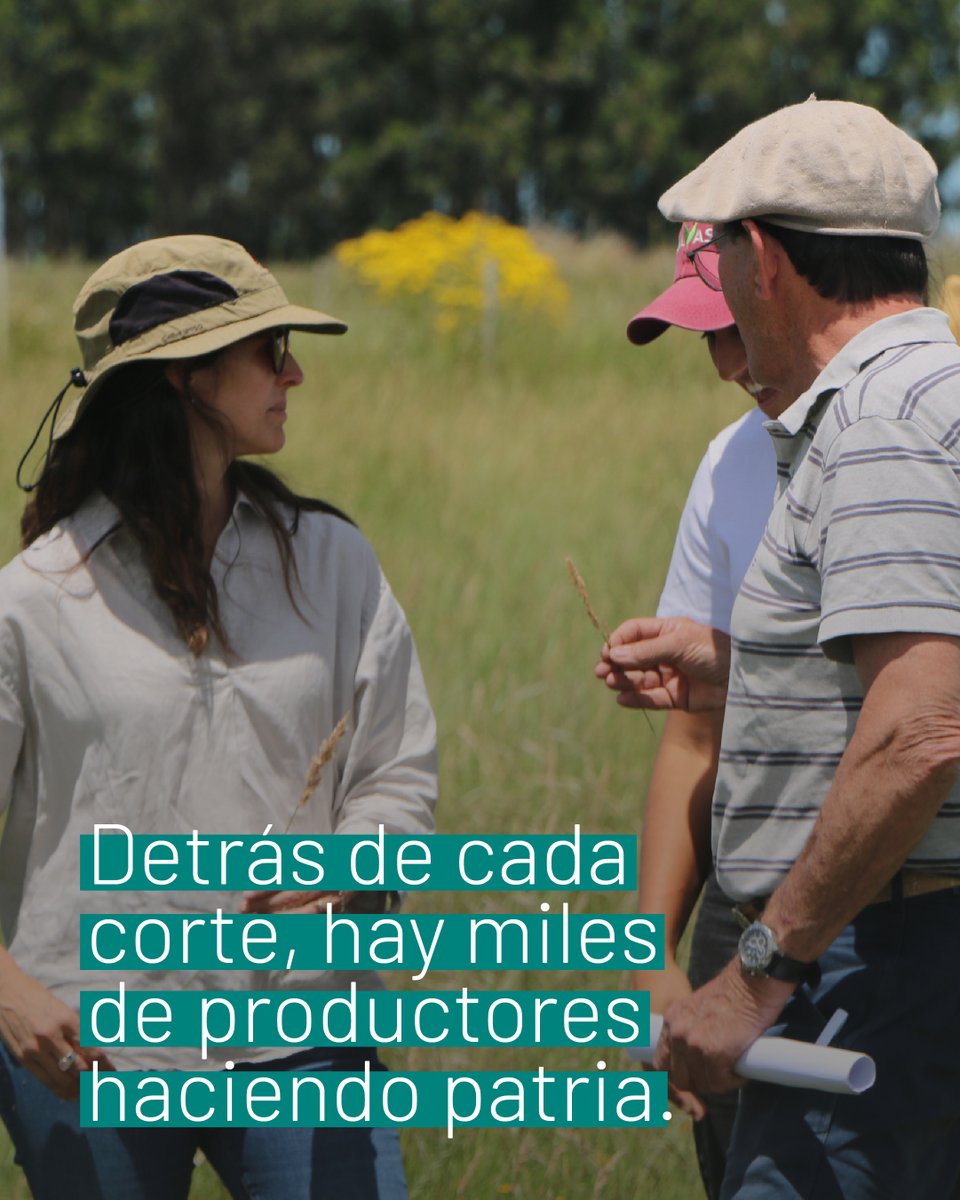 PROGANuy's tweet photo. Uruguay es sinónimo de calidad en el mercado global. Pero en este Día Nacional de la Carne, nos preguntamos: ¿por qué el mundo nos elige? 🌍🥩

¡Orgullo por lo nuestro, confianza para el mundo! 🇺🇾🤝 https://t.co/aRqMoxGhEi