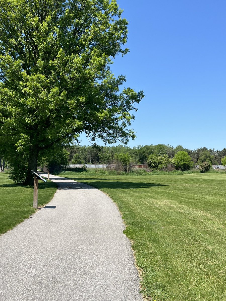 swordsoffour's tweet photo. walk 2day 🌸 https://t.co/91LRwU6OJV