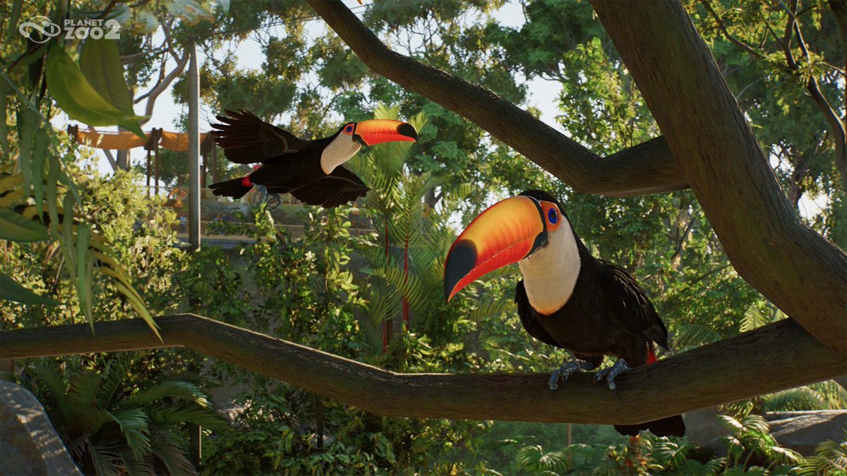 astrapionte's tweet photo. Planet. Zoo. 2!!! I’m so hyped!!! 

So far, I can confirm the following new species:

- Mola Mola
- Secretarybird
- Toco Toucan
- Hawksbill Sea Turtle 
- Moorish Idol
- Yellow Tang (?) 
- Sardine (?)
- Golden Eagle
- Golden Lion Tamarin
- Great Hammerhead Shark
- Blue Tang
- Longfin Batfish
- Blue & Gold Fusilier
- and a Tree Kangaroo!
#planetzoo #planetzoo2