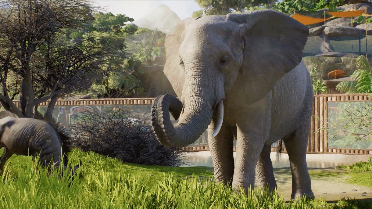 astrapionte's tweet photo. Planet. Zoo. 2!!! I’m so hyped!!! 

So far, I can confirm the following new species:

- Mola Mola
- Secretarybird
- Toco Toucan
- Hawksbill Sea Turtle 
- Moorish Idol
- Yellow Tang (?) 
- Sardine (?)
- Golden Eagle
- Golden Lion Tamarin
- Great Hammerhead Shark
- Blue Tang
- Longfin Batfish
- Blue & Gold Fusilier
- and a Tree Kangaroo!
#planetzoo #planetzoo2