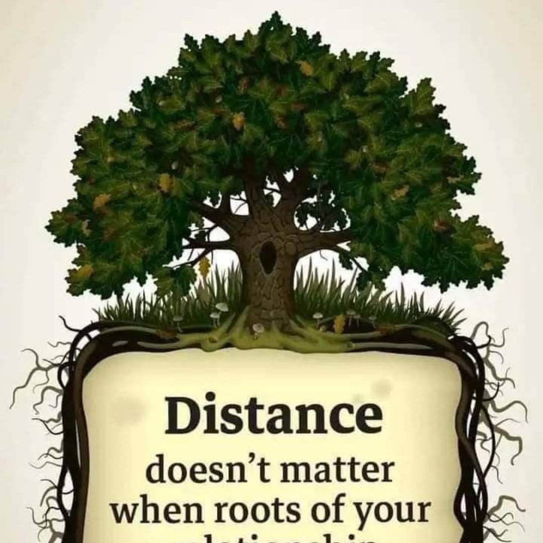 ResoolS's tweet photo. @lakesmi19841501 https://t.co/XfcRIrpPcv