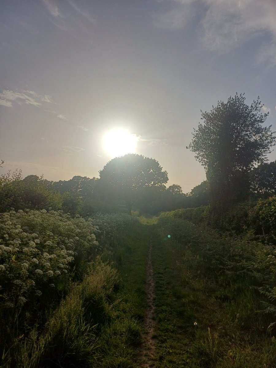 HoltRunner's tweet photo. Slow jog to start a long weekend. Catching up on @RunComPod 
Swapped pints for sweaty miles. Creeping above my lowest monthly total since February 2019. https://t.co/YrM8fAh2QF