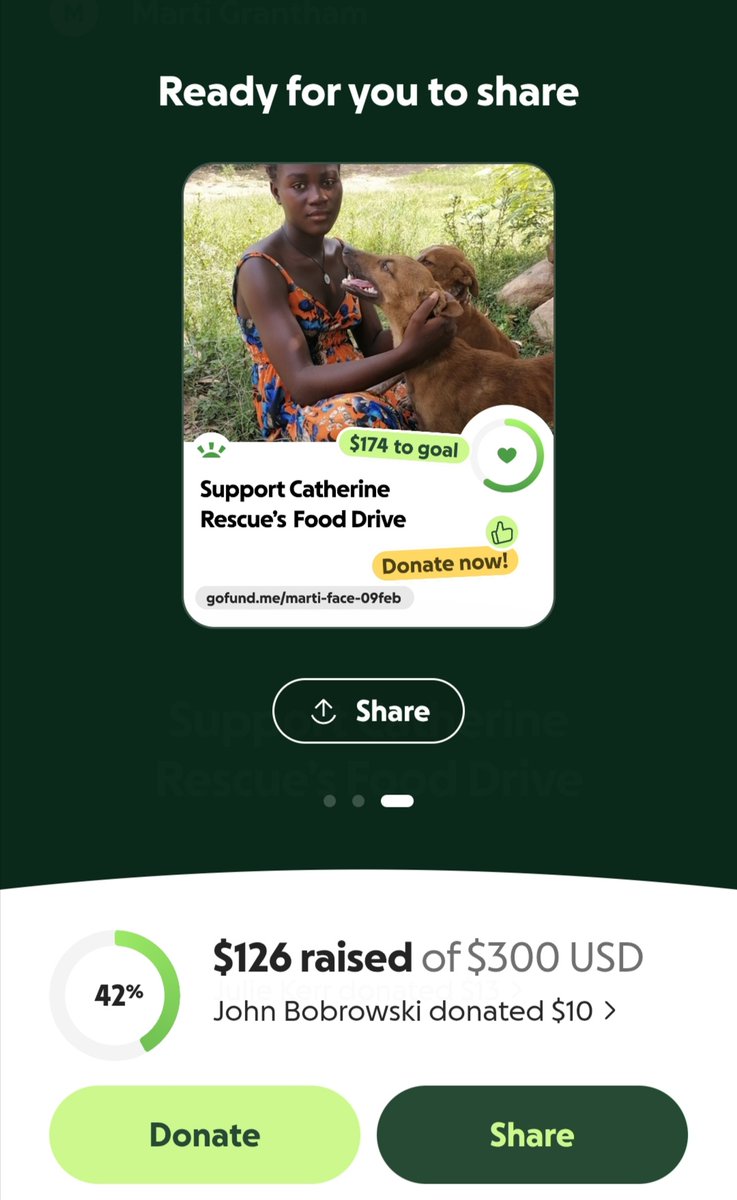 Catherine cats rescue🐱🐱🐱 tweet media