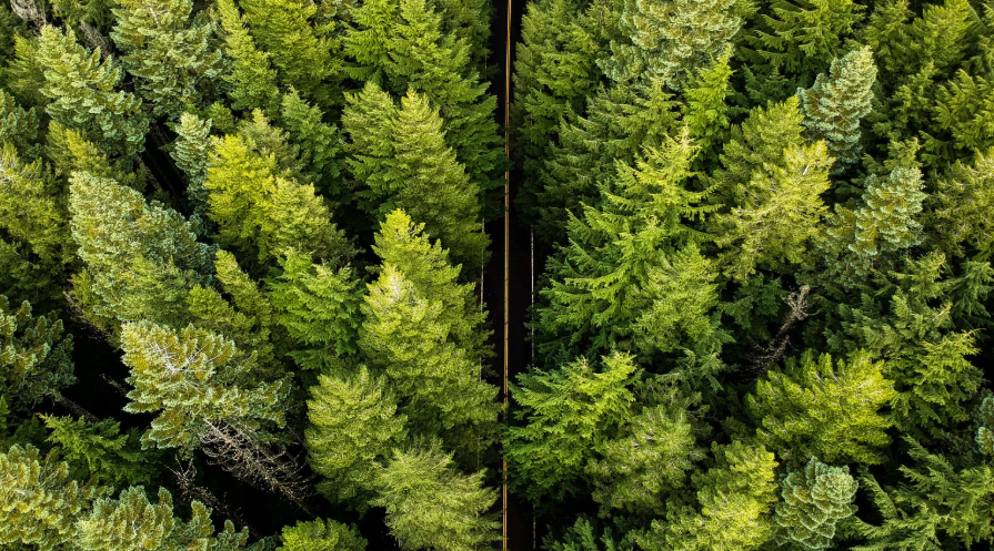 TimelessTrvlr's tweet photo. Oregon feels like nature showing off in every direction.

Stormy coastlines, mossy forests, waterfalls, volcanic peaks, high desert, crater lakes, and roads where the scenery keeps changing before you’re ready to move on. https://t.co/Hp1hORhbLk