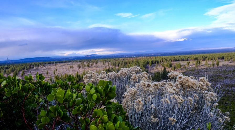 TimelessTrvlr's tweet photo. Oregon feels like nature showing off in every direction.

Stormy coastlines, mossy forests, waterfalls, volcanic peaks, high desert, crater lakes, and roads where the scenery keeps changing before you’re ready to move on. https://t.co/Hp1hORhbLk