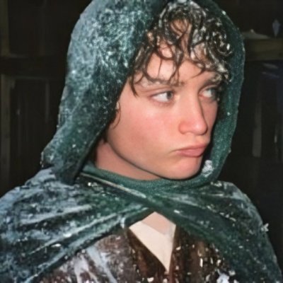 m!! ໒꒱ cr: the fellowship of the ring tweet media