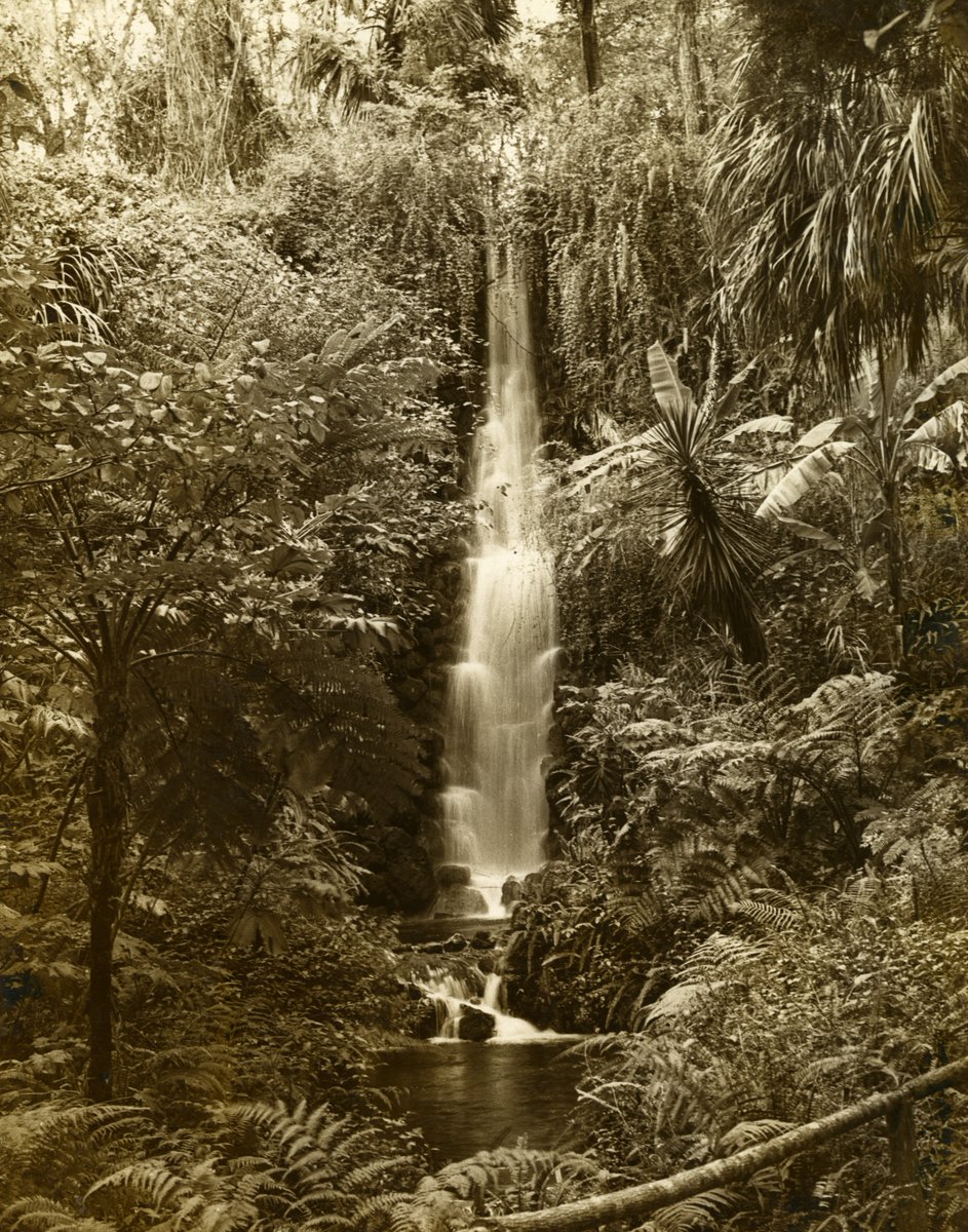 StateLibraryFL's tweet photo. For #TourismTuesday, let’s go to Rainbow Springs to cool off and relax. Located in Marion County, the spring is the fourth largest in the state and produces over 490 million gallons of water daily! Rainbow Springs forms the headwaters of the Rainbow River. @FLMemory @FLStateParks https://t.co/opYKGgF490