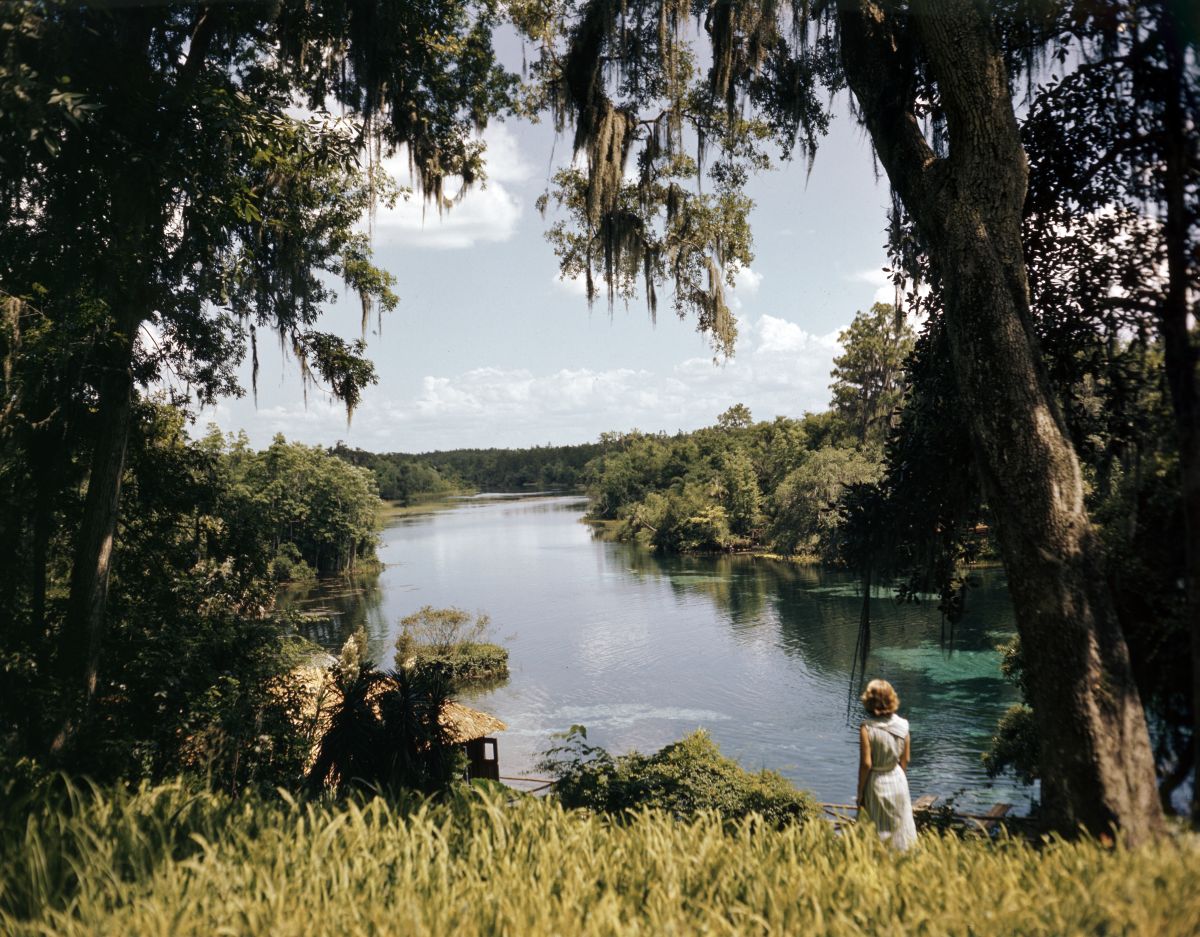 StateLibraryFL's tweet photo. For #TourismTuesday, let’s go to Rainbow Springs to cool off and relax. Located in Marion County, the spring is the fourth largest in the state and produces over 490 million gallons of water daily! Rainbow Springs forms the headwaters of the Rainbow River. @FLMemory @FLStateParks https://t.co/opYKGgF490