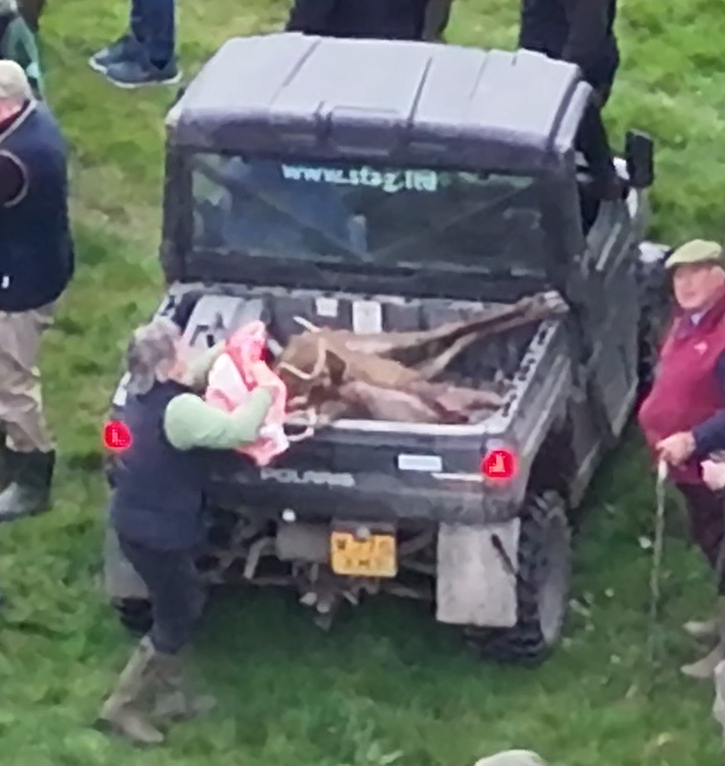 North Dorset Hunt Saboteurs tweet media