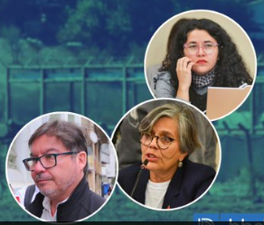 Guillermo Cabello 🌳= 🍆 en el 👁️ tweet media