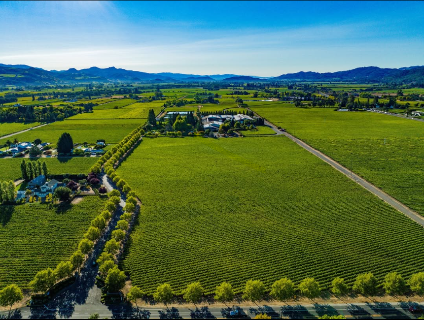PureLuxuryTrans's tweet photo. Dreaming of Summer in Napa Valley...Embrace long vineyard roads, green as far as the eye can see, and stunning views at Raymond Vineyards. Start planning your Wine Country trip now! 🍷📸 https://t.co/pHoVidwkw2
