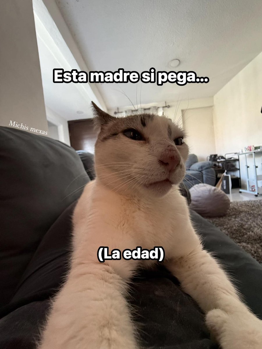 Animalitos en aprietos. tweet media