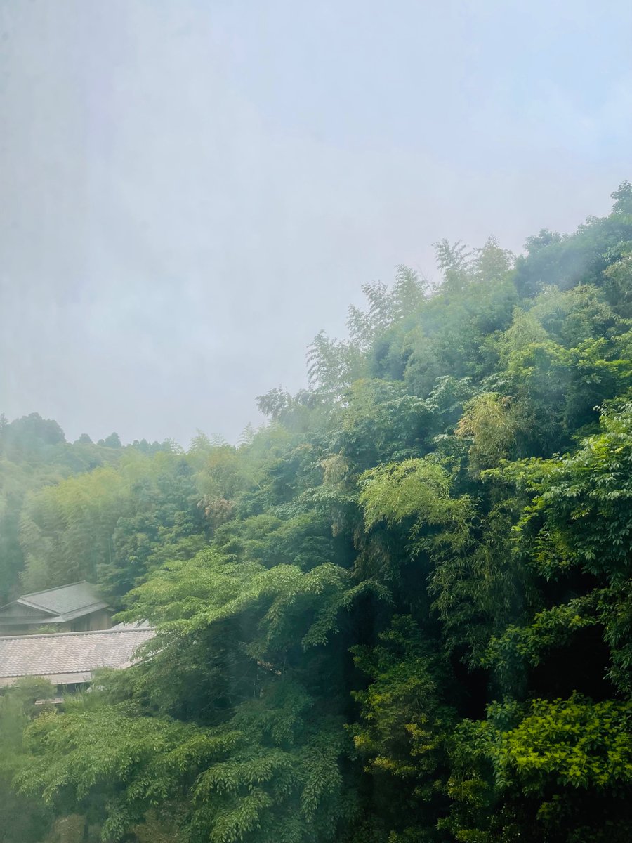 Jejunekid's tweet photo. So bright at 4 am. Land of the rising sun. #Japan https://t.co/qLOVpPFWNP
