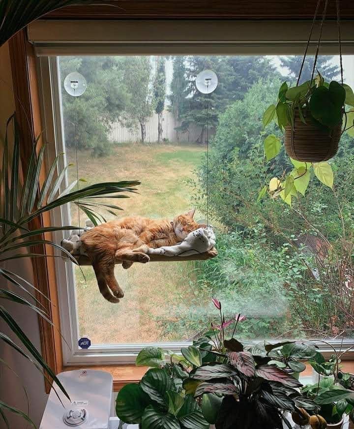 purelivn's tweet photo. cozy living https://t.co/QYy4I47k6b