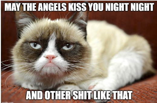 FlissZak's tweet photo. Good night, people.  Have a lovely night's sleep when it gets to your part of the planet.

#GrumpyCat #GoodNight https://t.co/G7u457gfWr