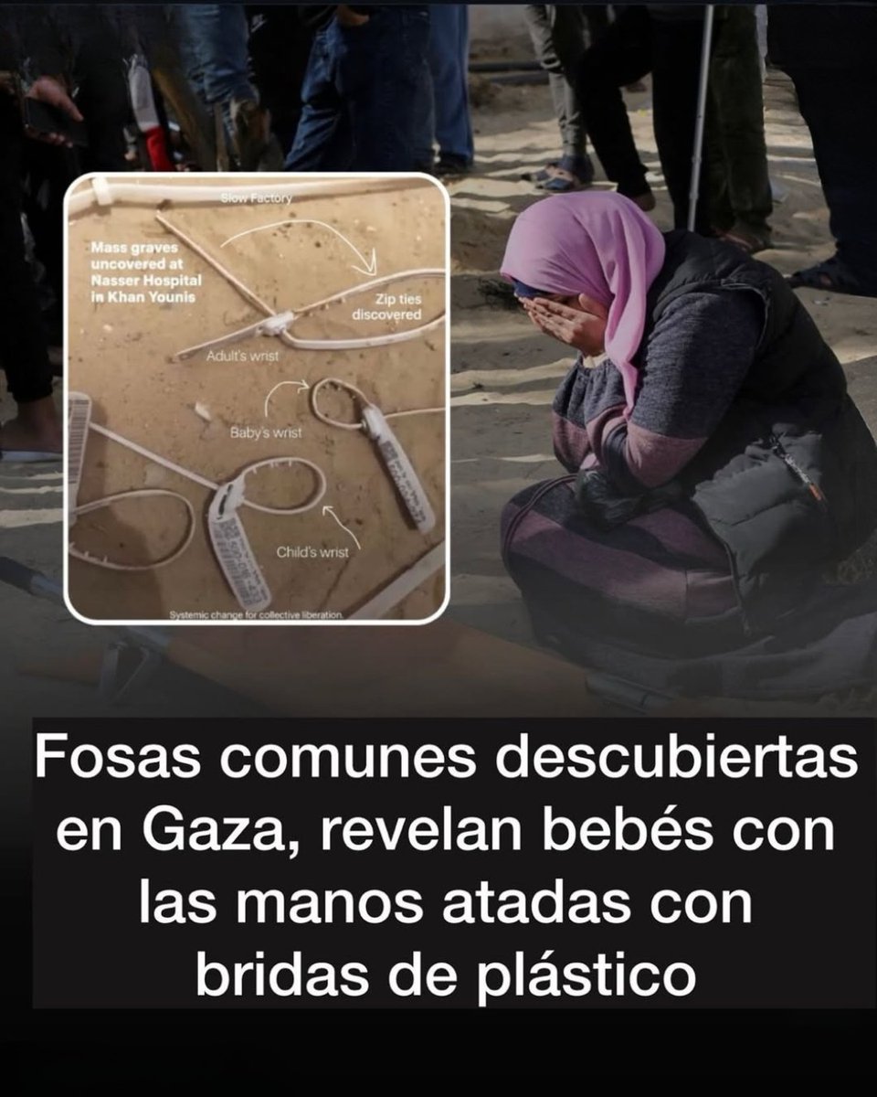 epicentro_TS's tweet photo. ¡Alto a la indiferencia!
¡No dejemos de hablar de Palestina!
@AdrianaOrn_TS 
#Palestina #palestinalibre #fypageシ゚ #TrabajoSocial https://t.co/eSryfAPoVt