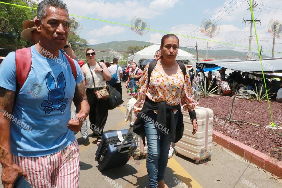 Replica_Tweets's tweet photo. Todos contra #mitla para lavar la cara de @salomonj
Dónde están los @CongresoOaxaca_ y @PartidoMorenaMx cuando la #Seccion22 deja sin transporte al #turista #tortillera #albañil #obrero #empleados
Hoy no hay @BinniBus_GobOax 🤔🤡🤔🤡🤔
#Revocacion https://t.co/EXNLicTGeY