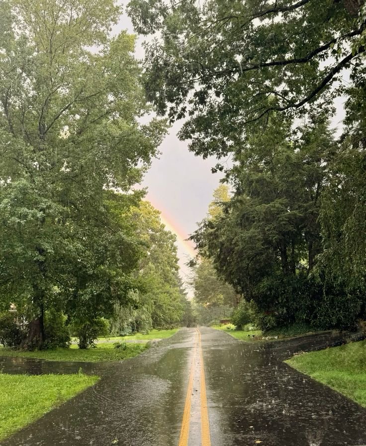 purelivn's tweet photo. rainy day https://t.co/AUNm8SI3Np