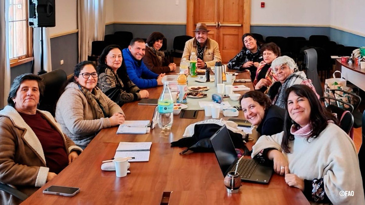 FAOChile's tweet photo. El Proyecto @theGEF Gobernanza Marino Costera se reunió en Freirina con las y los integrantes de la Junta de Vecinos de Los Bronces, quienes con su iniciativa de cosmetología natural basada en algas pardas, obtuvieron fondos de un proyecto de Economía Azul. https://t.co/NxMoTNRqUS