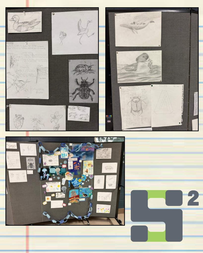 HSHealthScience's tweet photo. Scientific Sketching ended with a gallery wall in the hallway showcasing some of the top art made by students throughout the course! https://t.co/hU2nGueapc