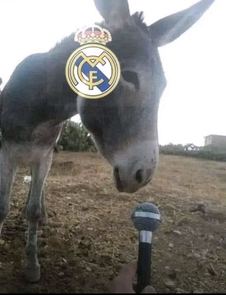 MooCule0's tweet photo. @bt3 @RM4Arab https://t.co/Q3FUCD7sGP
