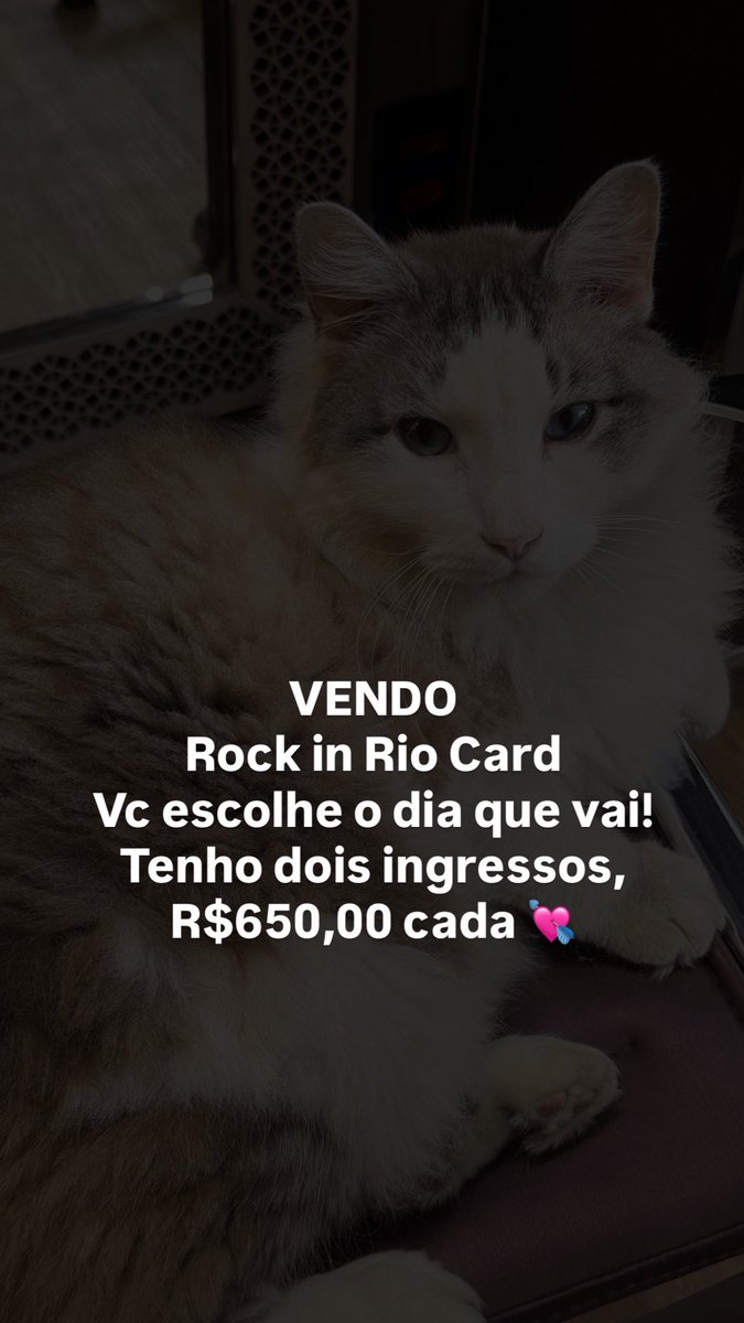 bea tweet media