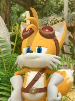 CEO Of Boom Tails and Sonic Boom tweet media