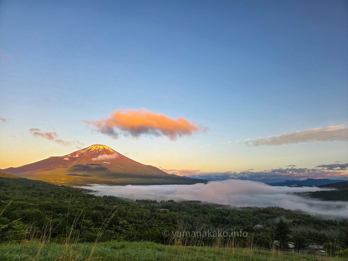 yamanakako_info's tweet photo. #おはよう富士山 
今朝は霧(雲)が流れていて時折富士山は隠れたりしてました
#雲海の向こうに富士山 #mtfuji #富士山 #山中湖 #fujisan #イマソラ #イマフジ #富士山と山中湖 #mysky #パノラマ台 https://t.co/IgnlFbyK43
