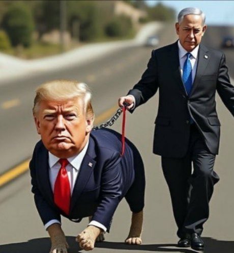 TrvthImpact's tweet photo. @TheDemocrats You can remove Trump and replace it by Netanyahu it is just a dog https://t.co/jvrCSgfXKc