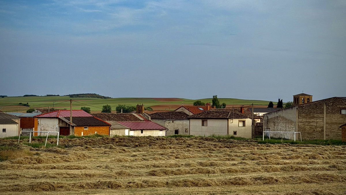 BorjaBarba's tweet photo. Tendríais que oír cómo cantan las perdices. 
Itero Seco, #Palencia https://t.co/uO6JDhG1nM