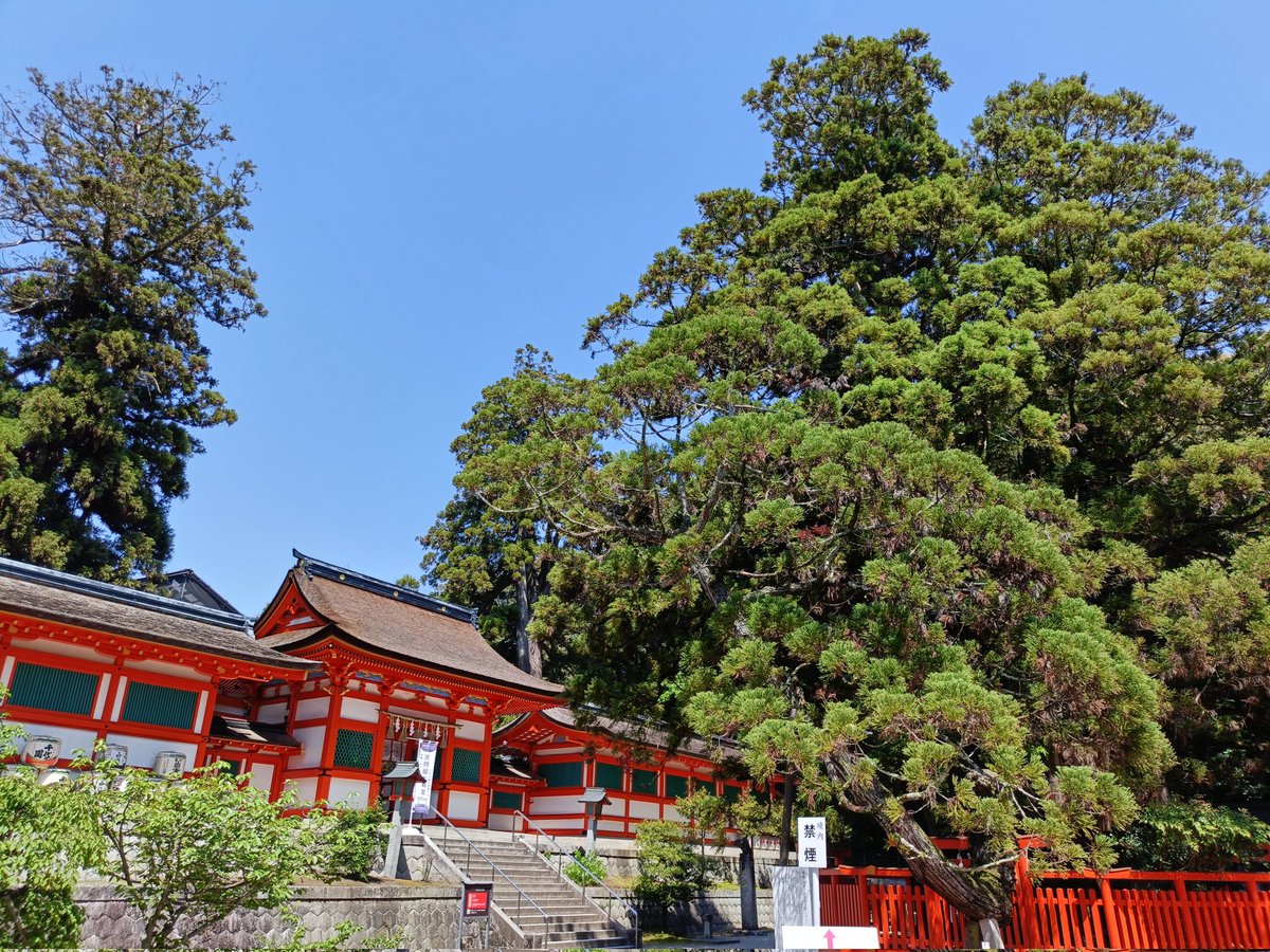 MLsonata14's tweet photo. 香椎宮へ⛩️(5/6)

筥崎宮からバスで移動し、福岡市東区香椎に鎮座する香椎宮に参拝しました🙏
天皇の使者が訪れる全国16勅祭社のひとつです。
直書きの美文字御朱印をいただきました🍀
香椎宮を後にし博多のホテルに戻ってからZepp福岡に向かいました♪ https://t.co/FuzlxDk1iQ