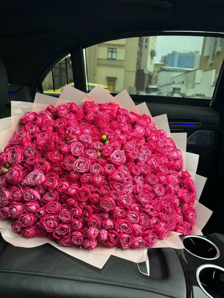 TheBeauty001's tweet photo. https://t.co/xHFz3vASaO