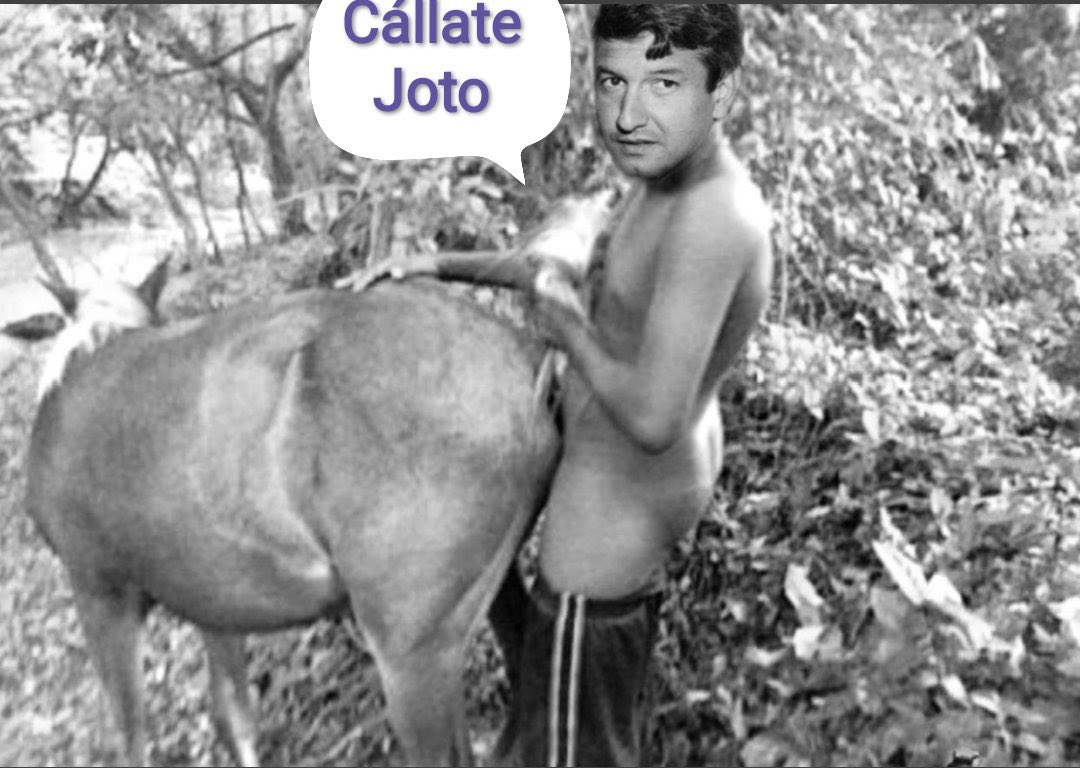 BjRex_'s tweet photo. @cthulhuiz @Brenn0505 @navitajur @CONAPRED Jajaja mi chairo todo pendejo que se le olvida escribir como todo analfabeta se expresa con dibujitos  de mongol 🤣 https://t.co/FUZpbigSf6
