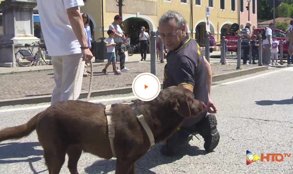 HTO_tv's tweet photo. Mirano (VE) – 20 anni di coraggio, impegno e servizio per la comunità, festeggiamenti per il 20° Anniversario dei Vigili del fuoco Volontari – Espozizione dei mezzi

https://t.co/dCE0YjSPU5

@vigilidelfuoco
#vfvmirano #Volontari #Anniversario #Mirano https://t.co/TyIwxIBmdq