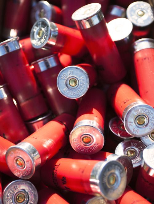Emily tweet media