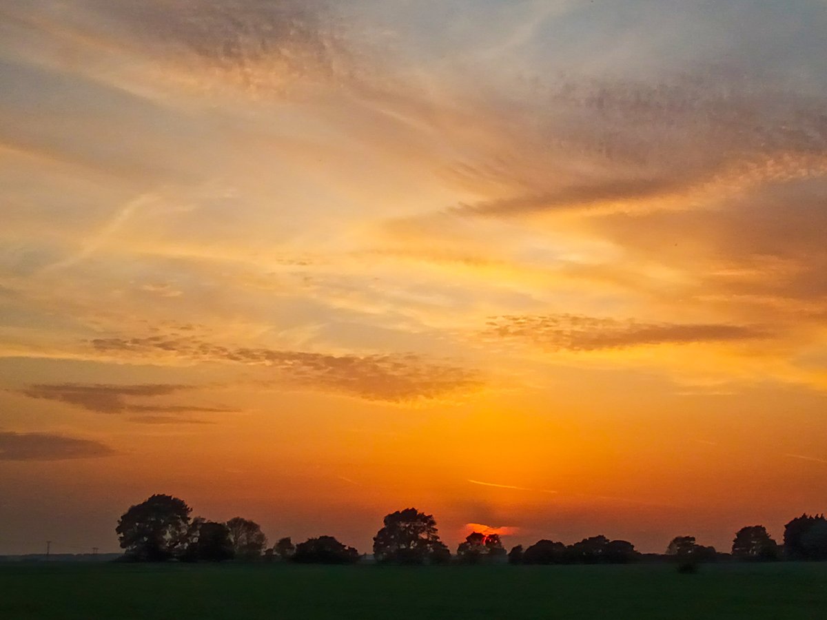 chris_alpacas's tweet photo. Just after #sunset tonight in the Fens, still 25 degrees and I can feel the heat through this photo. #Goodnight all xxx @ChrisPage90 @itvanglia @metoffice #LoveUKWeather #spring #heatwave https://t.co/Q3h5SPxDgb
